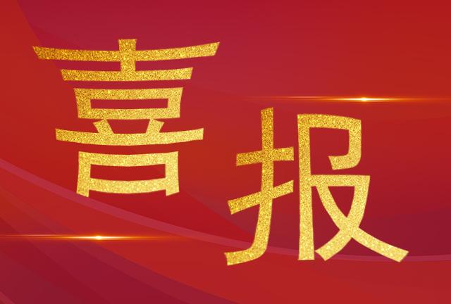 喜報|我司技術(shù)服務(wù)部工程師們榮獲“電力運(yùn)檢之星“